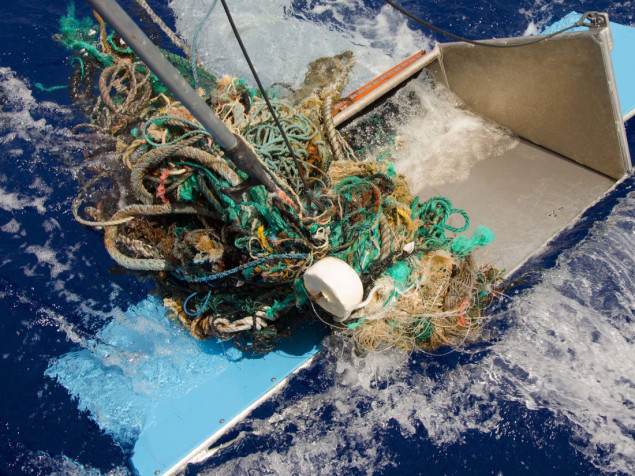 Veliko pacifičko ostrvo smeća toliko naraslo da se na njemu razvio ekosistem
