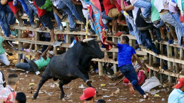 Kongres zabranio borbe s bikovima u Kolumbiji od 2027. godine