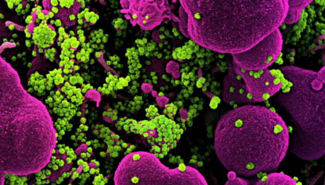 Novi talasi zaraza novim varijantama omikron soja koronavirusa