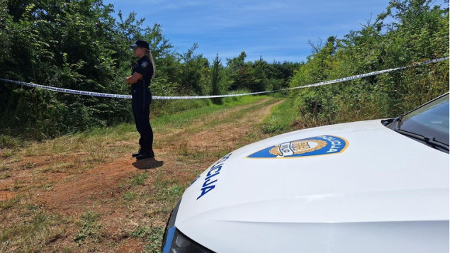 Manji avion se srušio kod Medulina u Hrvatskoj, četiri osobe poginule