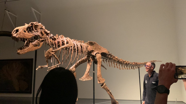 Kostur dinosaursa prvi put na aukciji