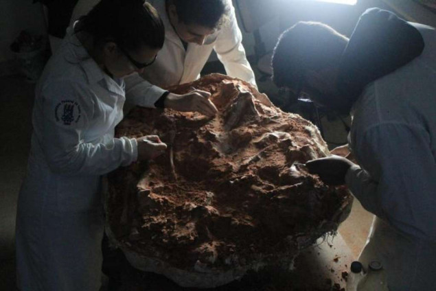 Nakon velikih poplava u Brazilu otkriven dobro očuvan fosil dinosaurusa