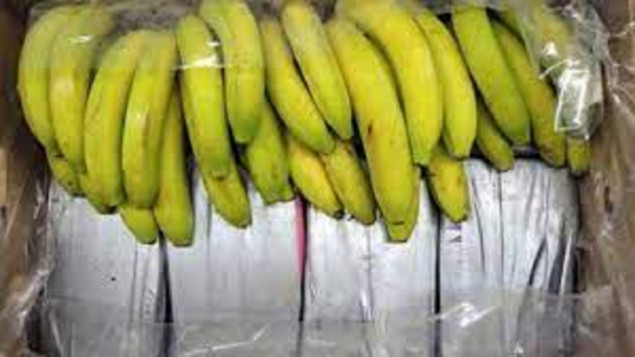 Grčka: Kokain pronađen u pošiljci banana, uhapšena četiri Britanca