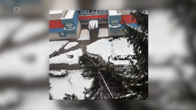 Izbjegnuta nova tragedija na Grbavici u Sarajevu: Kod Osnovne škole Kovačići srušilo se stablo