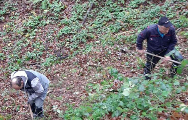 Ekshumacija u Prijedoru: Uočeni posmrtni ostaci najmanje četiri žrtve proteklog rata