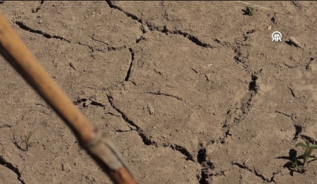 El Nino izazvao ekstremnu sušu u El Salvadoru