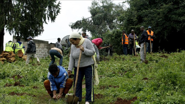 Etiopija za jedan dan zasadila 700 miliona stabala