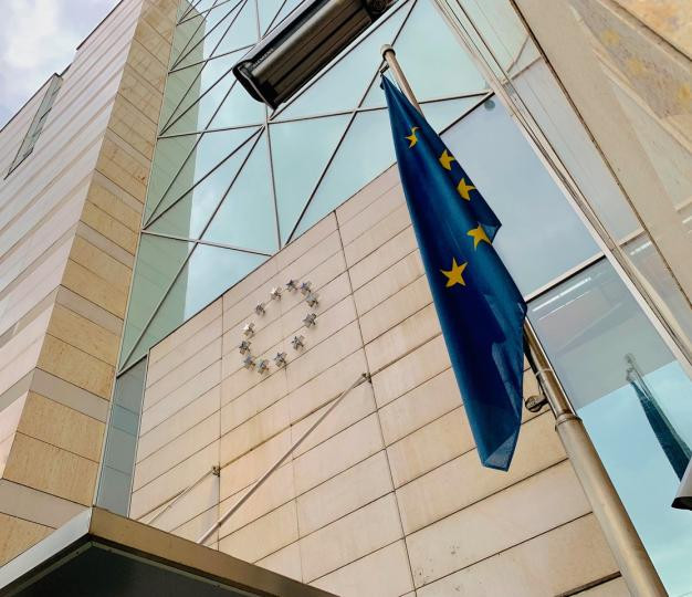 Zvanični stav Delegacije EU-a o pregovaraču
