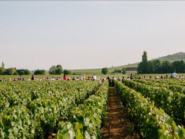 Francuski farmeri upozoravaju na mogućnost kolapsa u snabdijevanju hranom zbog energetske krize