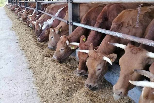 FUZIP donio plan službenih kontrola farmi goveda, ovaca koza i drugog u FBiH za 2024.