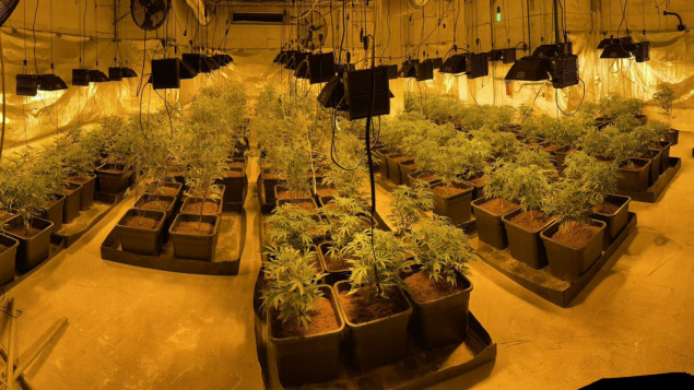 U Španiji uhapšene 32 osobe povezane s italijanskom mafijom