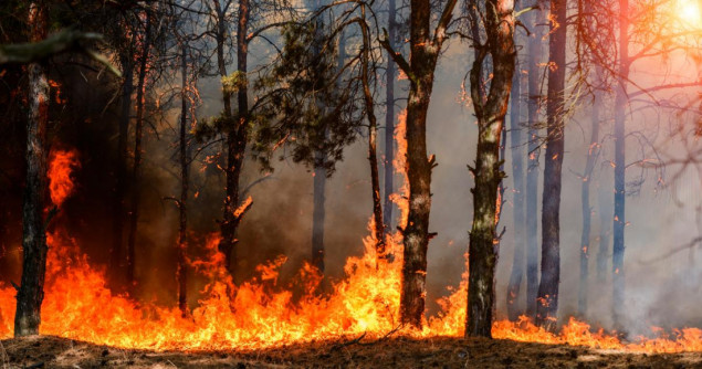Požar na Korziki zahvatio 450 hektara zelenih površina