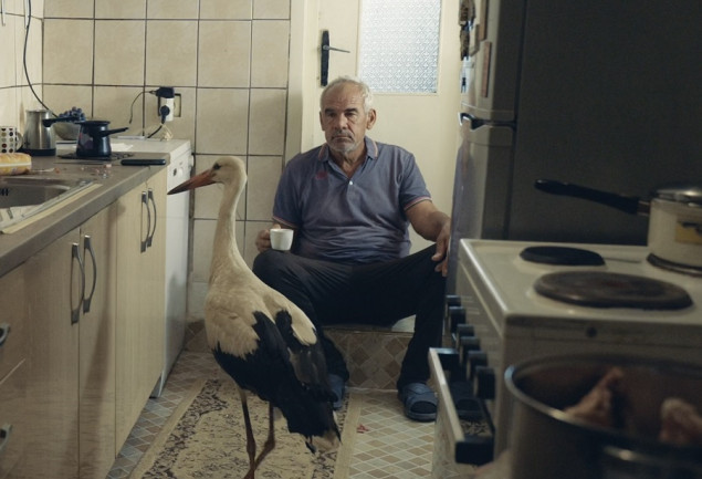 Dokumentarac "Siljan" Tamare Kotevske dobitnik Nagrade za muzu Venecijanskog bijenala