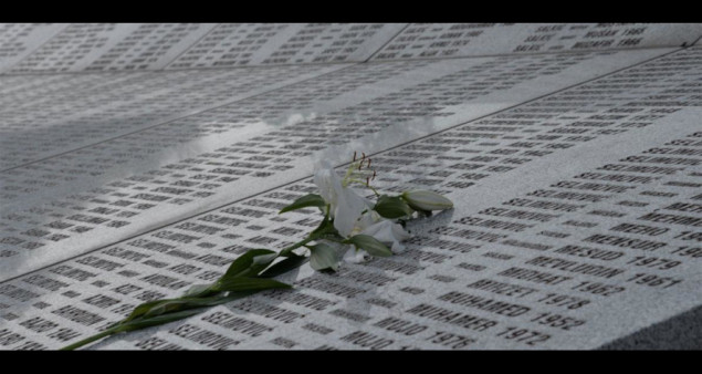 Godina dana od Inzkovog zakona: Prijave brojne, broj optužnica nula