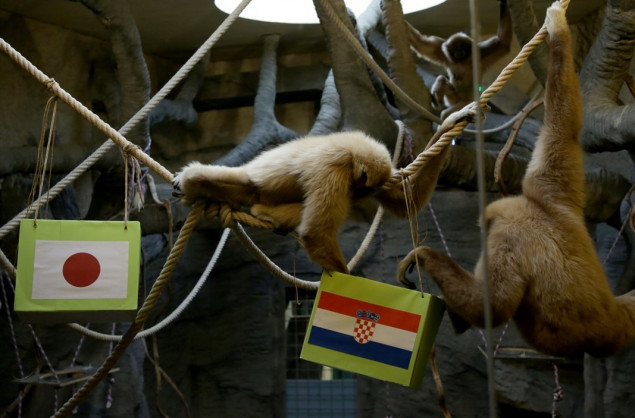 Gibon Kent prognozirao dominaciju Hrvatske nad Japanom