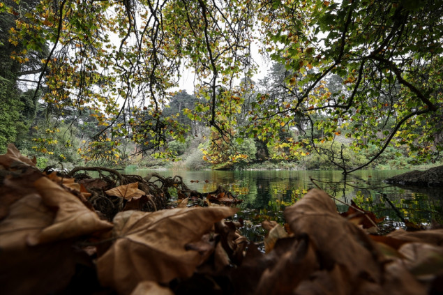 Čarobna jesen u parku "Golden Gate" u San Francisku