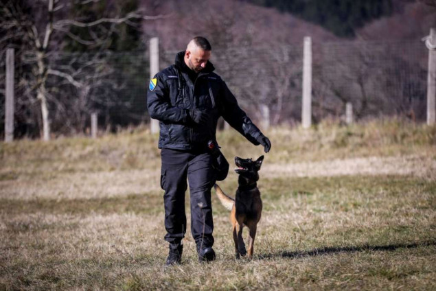 Službeni psi važna karika u kontroli državne granice