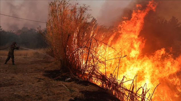 Uhapšena žena koja je navodno namjerno podmetnula požare u Grčkoj