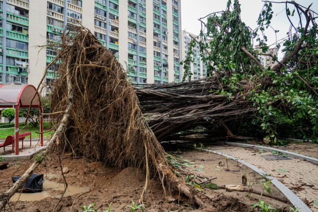 Super tajfun Ragasa pogodio Hong Kong: Povrijeđene 82 osobe, uzokovana velika šteta