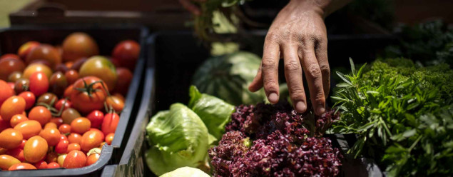 11 milijardi dolara za globalnu prehrambenu sigurnost