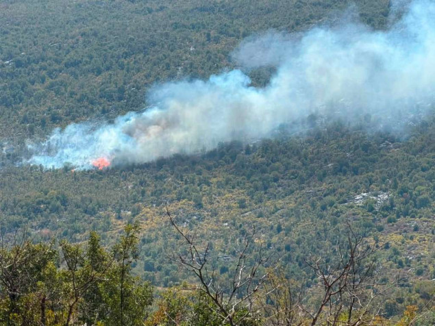 Požar kod Gruda, air tractor ne može pomoći zbog tehničkog kvara