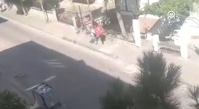 Odbjegli majmun u Istanbulu povrijedio tri osobe