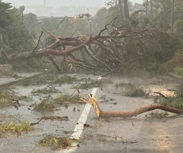 Nevrijeme zahvatilo Istru: Više osoba povrijeđeno u Rovinju pri padu drveća