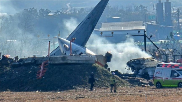Najgoru avionsku nesreću u povijesti J. Koreje uzrokovale patke