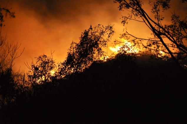 Šumski požar u Ofunatu, prefektura Ivate u Japanu, evakuisano 1.200 stanovnika