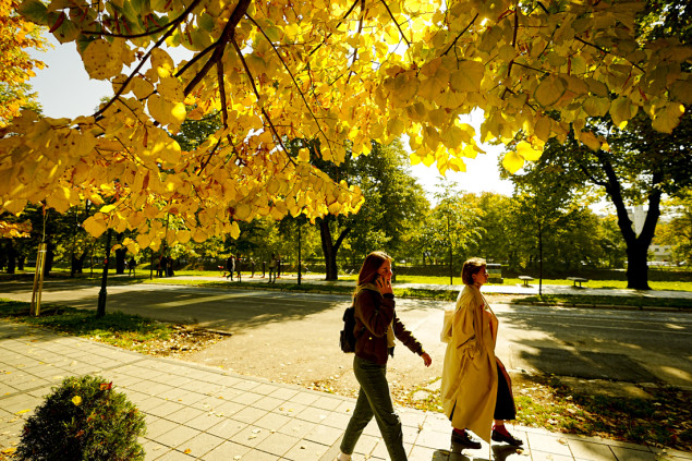 Sarajevo u zlatnim tonovima: Jesen "zagrlila" parkove i ulice