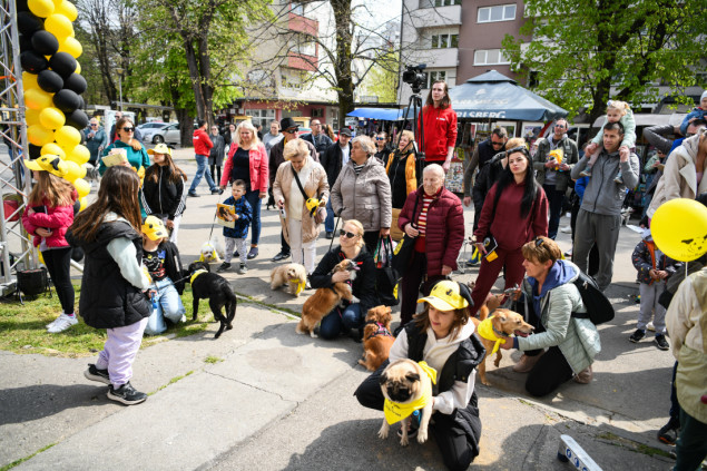 Veliko druženje u Butterfly parku u povodu gostovanja Dogs Trust Škole za pse Banja Luci