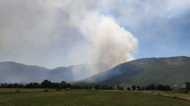 Na području Livna aktivan veliki šumski požar na planini Kamešnici