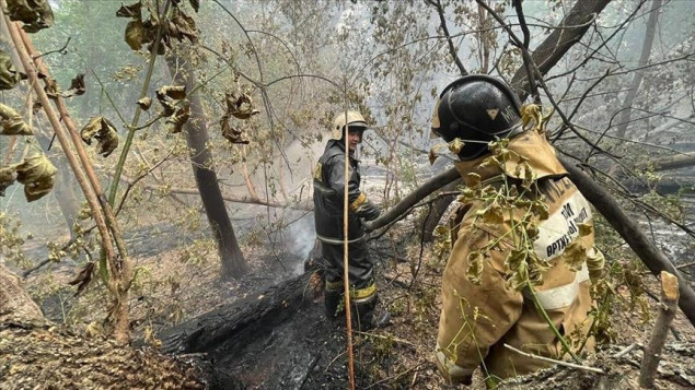 Šumski požar u Kazahstanu zahvatio područje od 30.000 hektara
