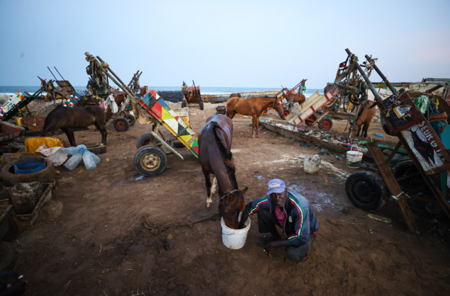 Konjske zaprege glavno prevozno sredstvo u Senegalu