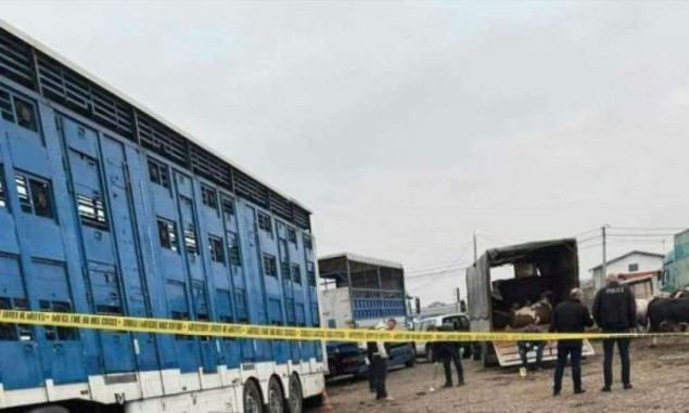 Devet osoba povrijeđeno u eksploziji ručne bombe na tržnici u Prizrenu