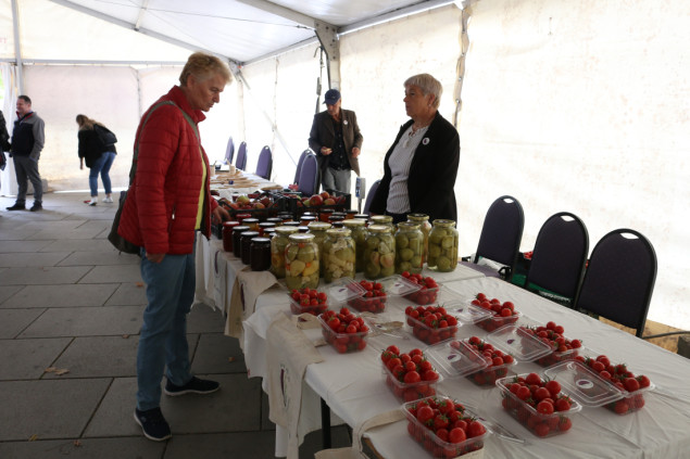 Na Kosovu se obilježava Dan seoskih žena