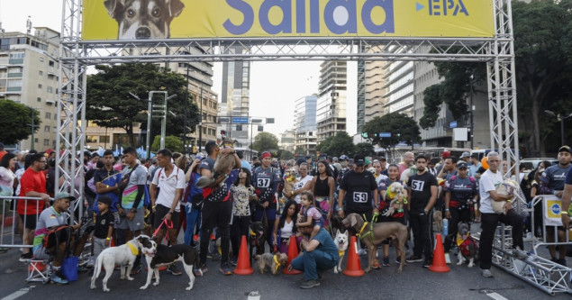 Jedinstvena utrka kućnih ljubimaca i vlasnika u Venecueli