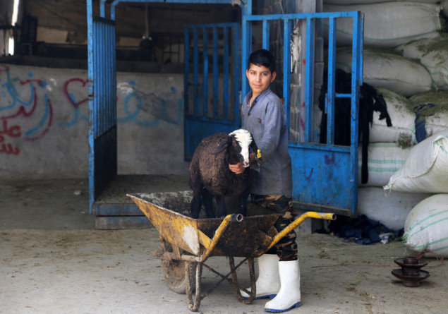 Cijene kurbana u Iranu udvostručene, smanjen broj kupaca
