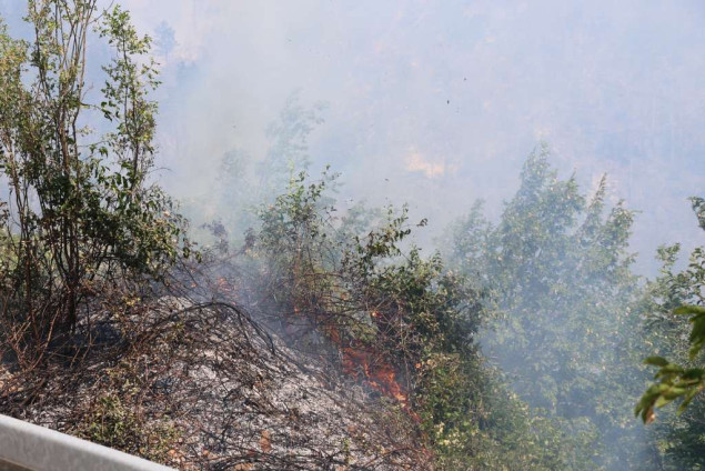 Požari kod Konjica i Neuma i dalje aktivni, kuće nisu ugrožene