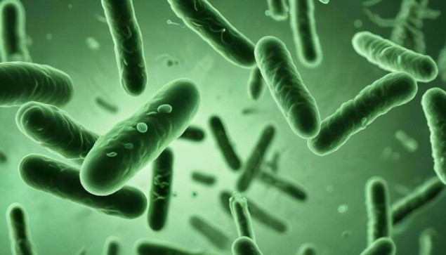 Svjetski dan borbe protiv tuberkuloze - Potrebno snažno liderstvo država, ulaganja i inovacije