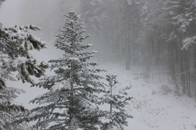 U BiH jutros oblačno s kišom u Hercegovini, u dijelovima Bosne sa snijegom, na Bjelašnici -5 stepeni