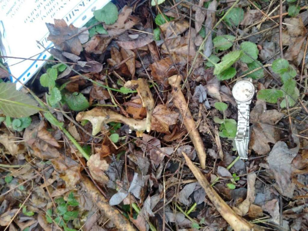 Sutra ekshumacija u naselju Čarakovo na području Prijedora