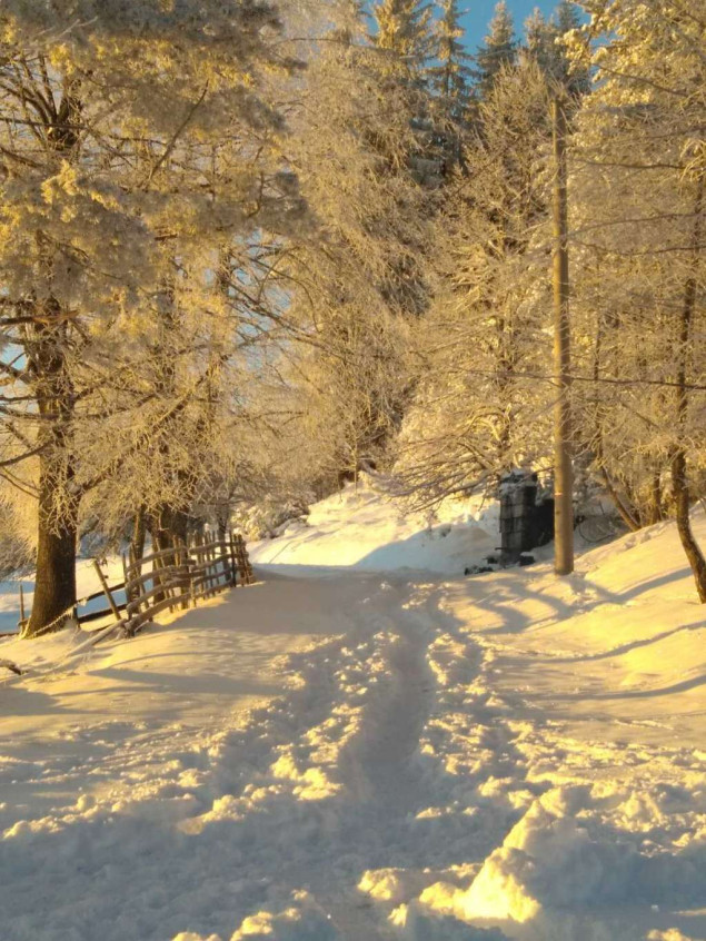 Zimska idila na sarajevskom Ozrenu, u carstvu prirode
