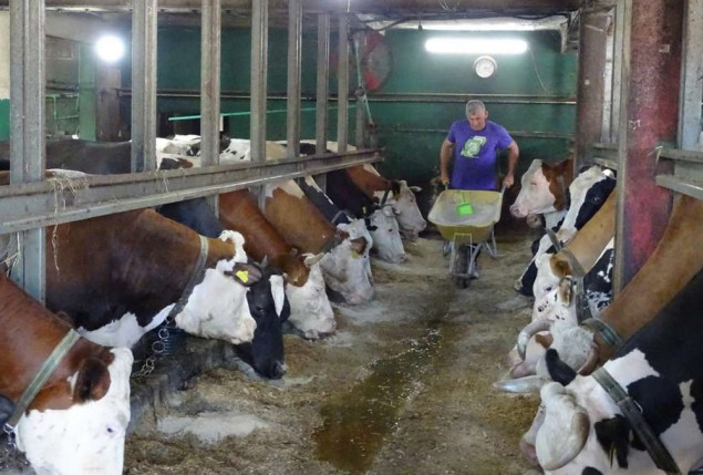 Poljoprivrednim proizvođačima i prerađivačima u FBiH isplaćeno 42,9 miliona KM