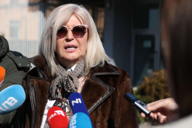 Konačna presuda Vasviji Vidović sredinom februara