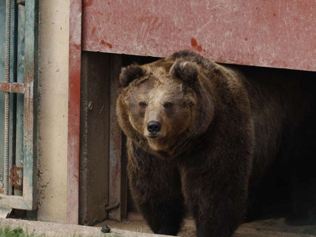 U Pionirskoj dolini i zoo vrtu počela zimska sezona