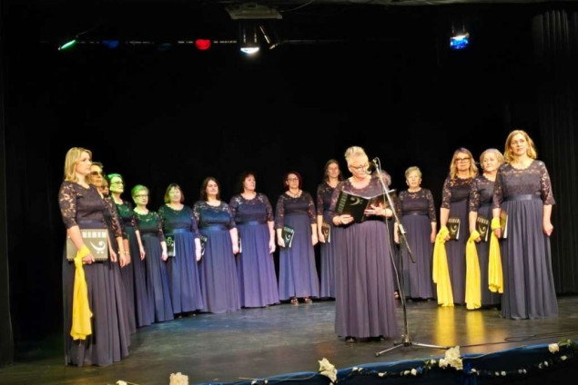 Aktiv žena 'Safir' u Švedskoj nastavlja tradiciju i promovira bh. kulturnu baštinu