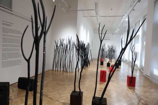 Izložba 'ViLE" Šejle Kamerić između mitskih bića i drvene alatke