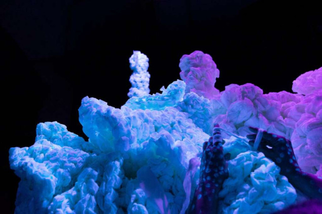 Imagine izložba 'Koralni greben. Regenerativni dizajn' od 5. oktobra u Sarajevu