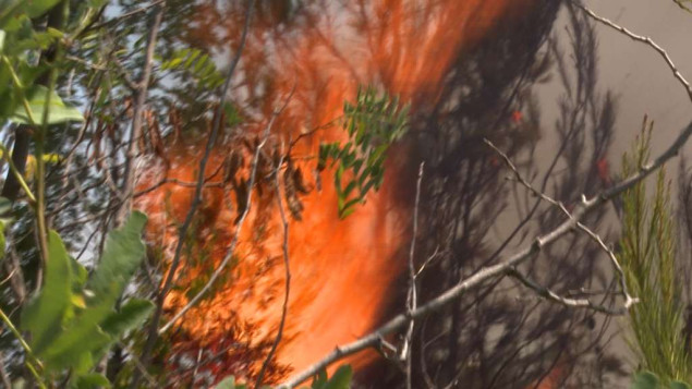 Požar u kalifornijskom gradu San Bernadinu spalio nekolio kuća i prisilio mještane na evakuaciju